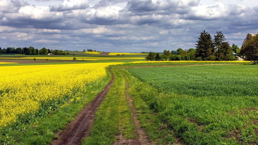 Фотографія +++ / Леонід Скоблунов / photographers.ua