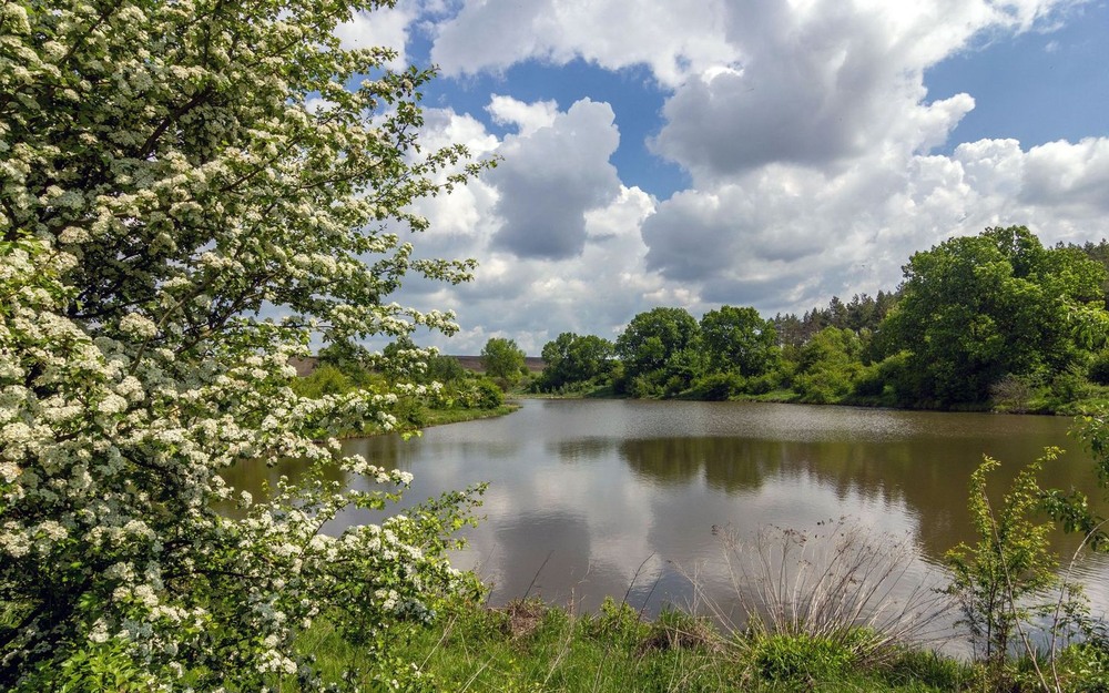 Фотографія +++ / Леонід Скоблунов / photographers.ua