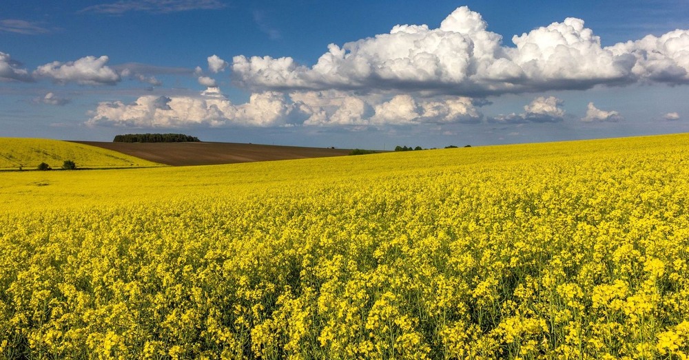 Фотографія +++ / Леонід Скоблунов / photographers.ua