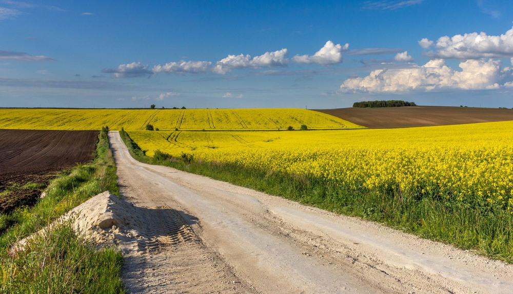 Фотографія +++ / Леонід Скоблунов / photographers.ua