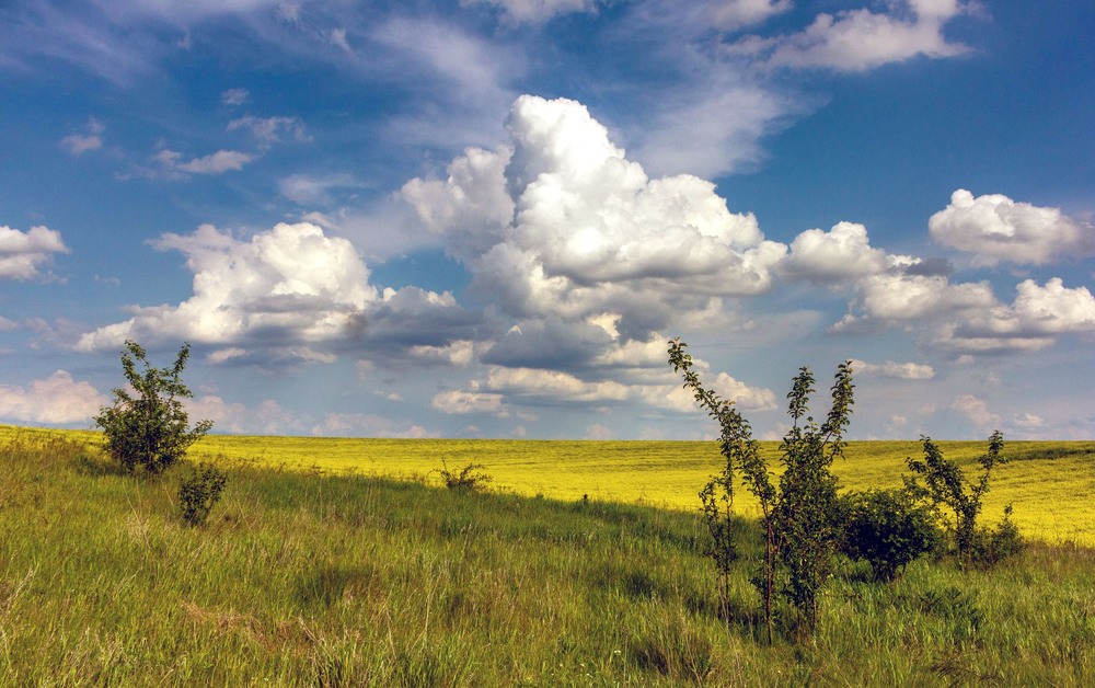 Фотографія +++ / Леонід Скоблунов / photographers.ua
