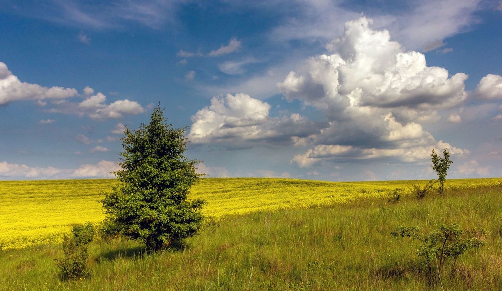 Фотографія +++ / Леонід Скоблунов / photographers.ua