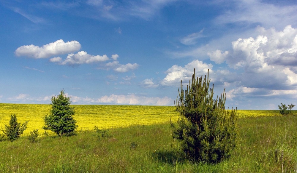 Фотографія +++ / Леонід Скоблунов / photographers.ua