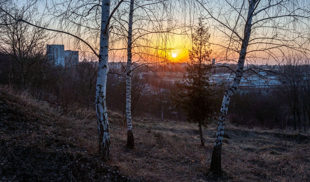 Фотографія +++ / Леонід Скоблунов / photographers.ua