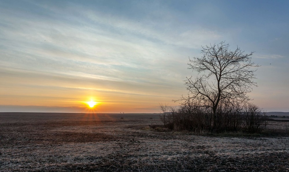 Фотографія +++ / Леонід Скоблунов / photographers.ua