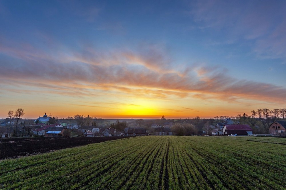 Фотографія Весняний ранок / Леонід Скоблунов / photographers.ua