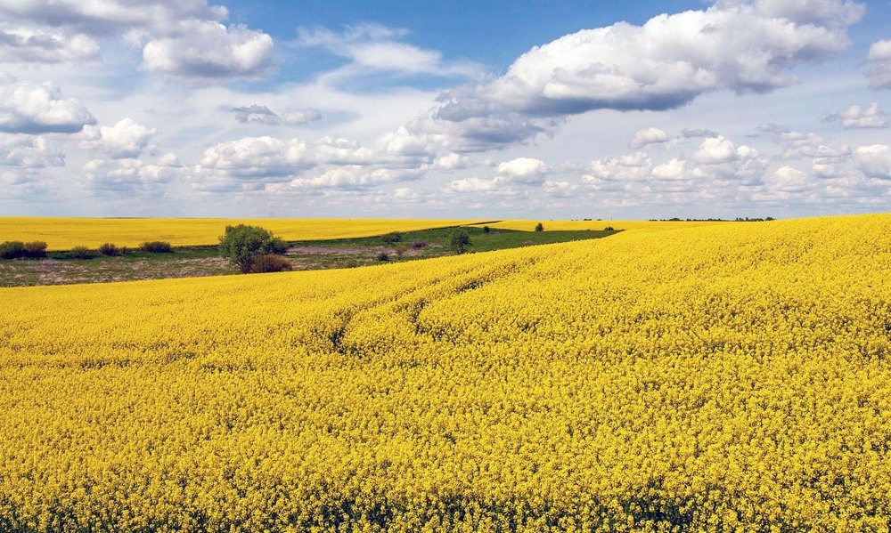 Фотографія +++ / Леонід Скоблунов / photographers.ua