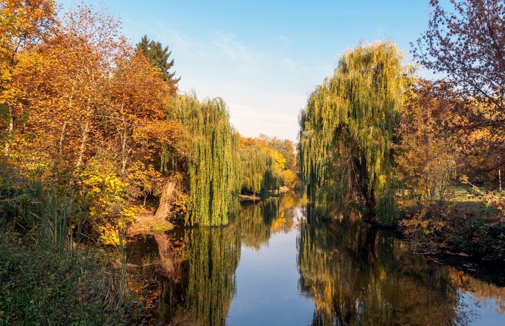 Фотографія +++ / Леонід Скоблунов / photographers.ua