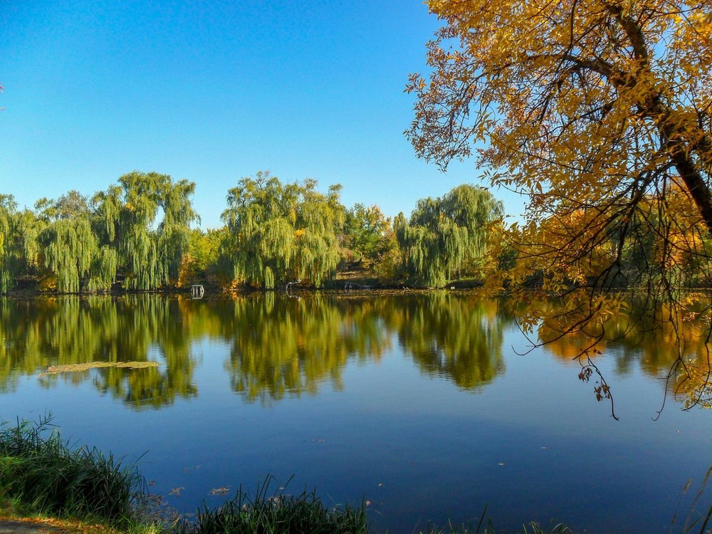 Фотографія Осінь у парку / Виталий Талисман / photographers.ua