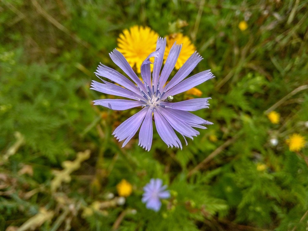 Фотографія Все буде Україна / Виталий Талисман / photographers.ua