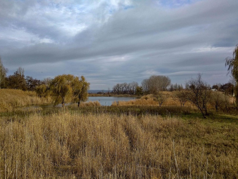 Фотографія Осінній ранок / Виталий Талисман / photographers.ua