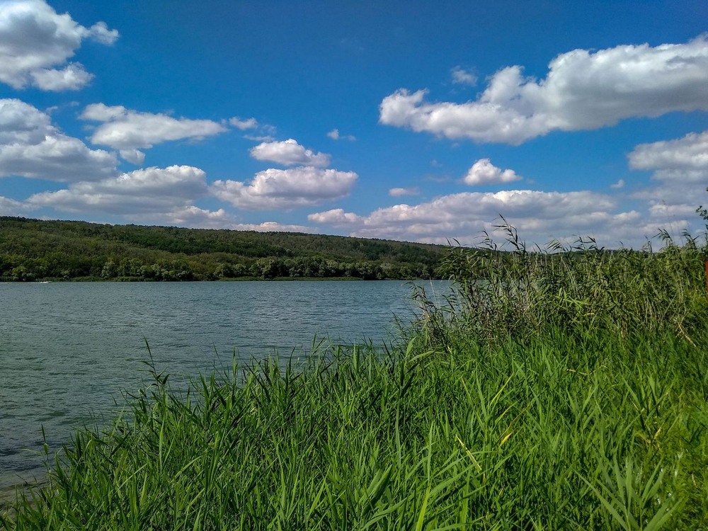 Фотографія Оскільське водосховище (мирний час) / Виталий Талисман / photographers.ua