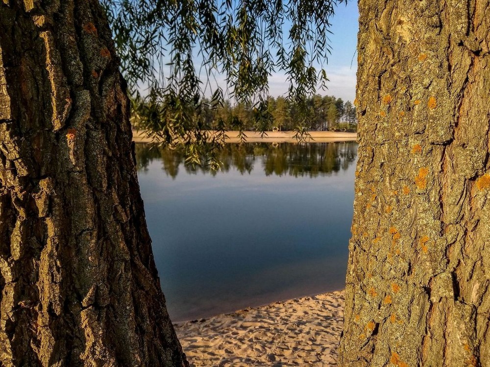 Фотографія На озері / Виталий Талисман / photographers.ua