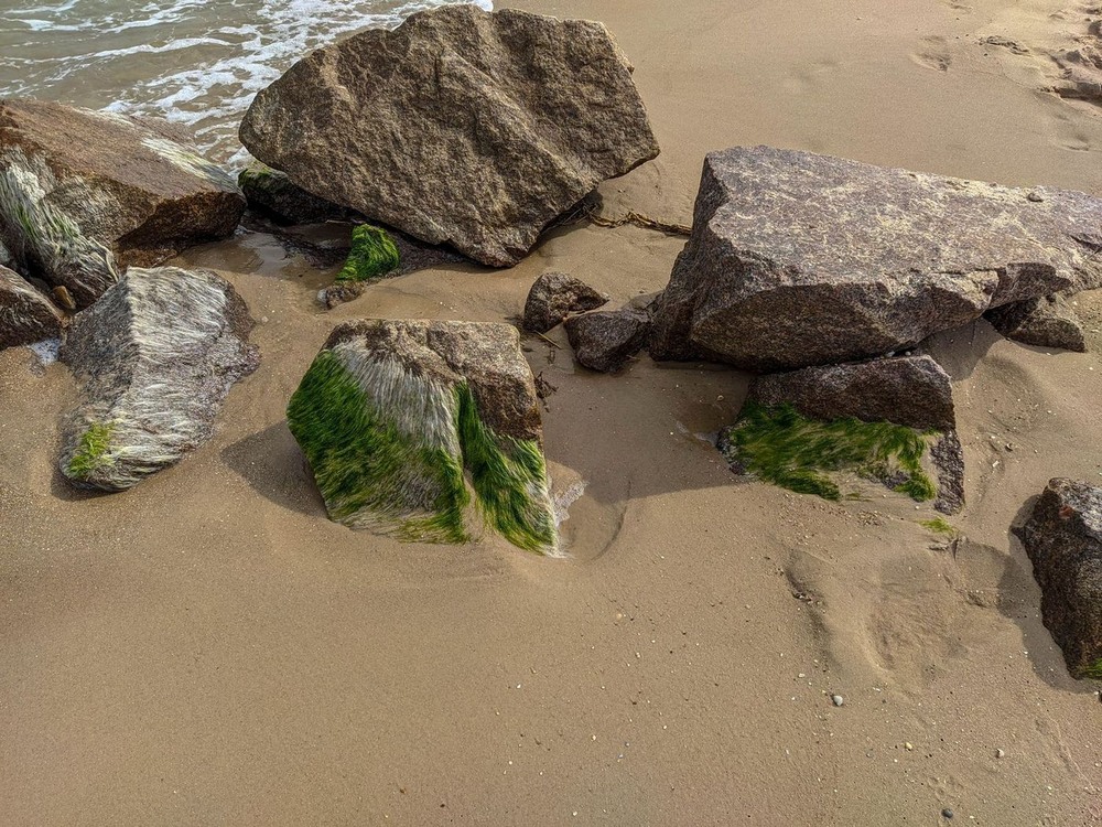 Фотографія "Мохнате" каміння / Виталий Талисман / photographers.ua