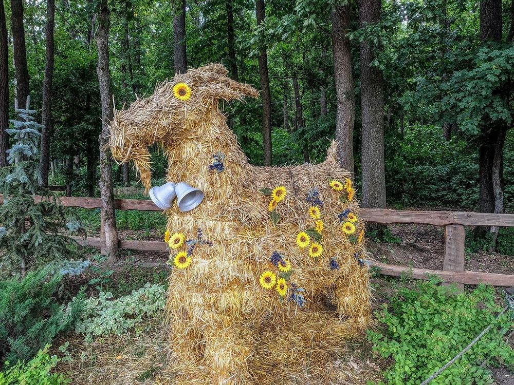 Фотографія На вході у парк Фельдмана (Харків) / Виталий Талисман / photographers.ua