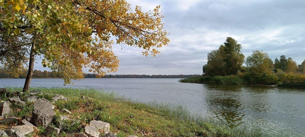 Фотографія Перше вересня / Виталий Талисман / photographers.ua