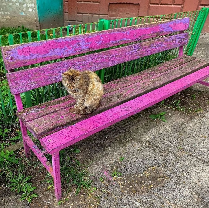 Фотографія У мене немає дому... / Виталий Талисман / photographers.ua