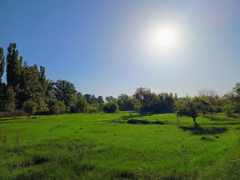 Фотографія Сьогодні чудовий день / Виталий Талисман / photographers.ua
