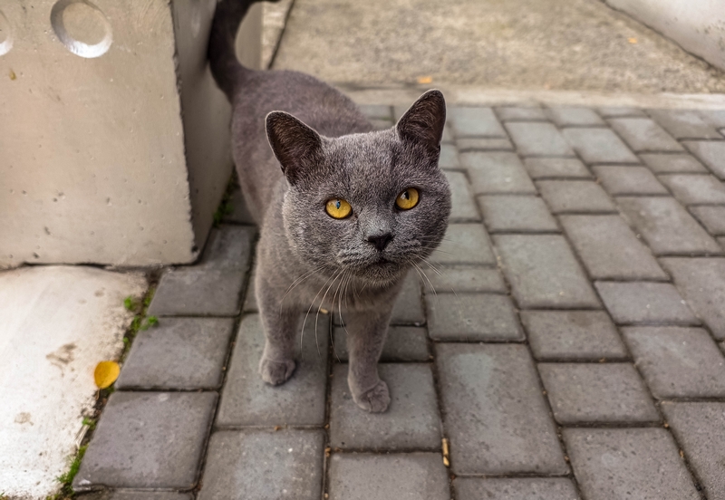 Фотографія Перша зустріч / Виталий Талисман / photographers.ua