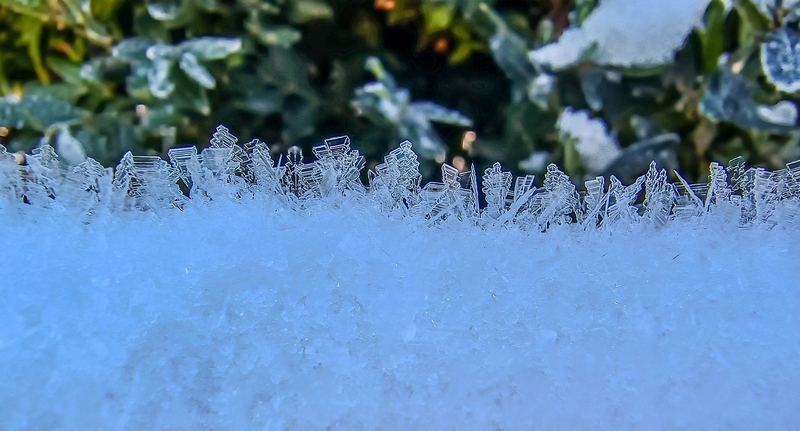 Фотографія Зимова армія / Виталий Талисман / photographers.ua