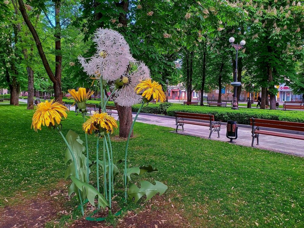 Фотографія Прогулянка містом / Виталий Талисман / photographers.ua