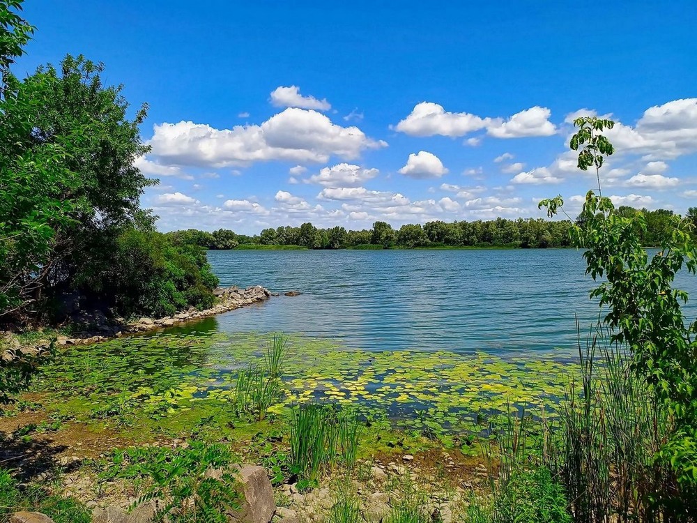 Фотографія У Дніпра / Виталий Талисман / photographers.ua