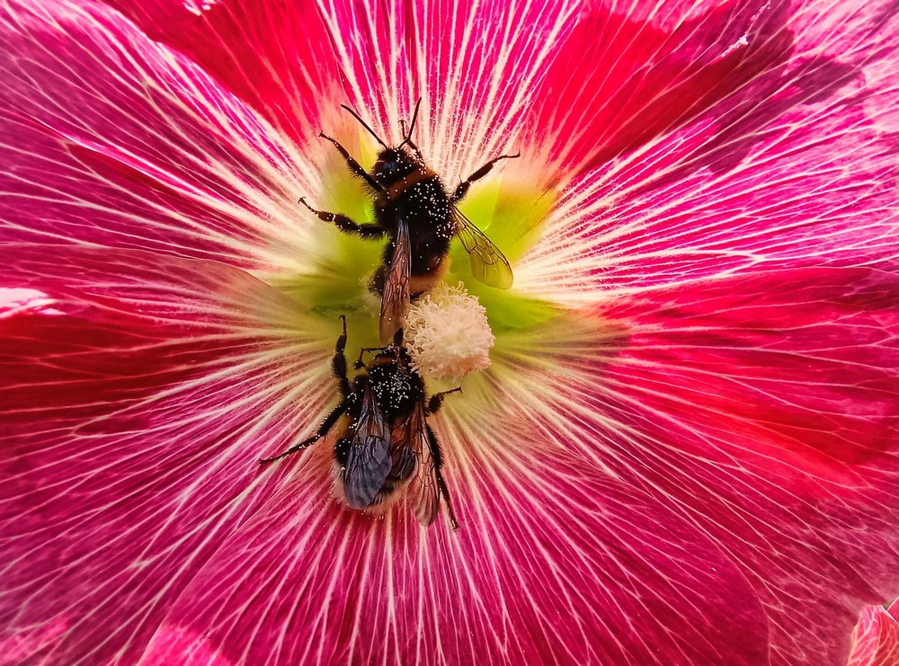 Фотографія На роботі / Виталий Талисман / photographers.ua