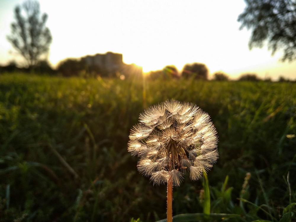 Фотографія На світанку / Виталий Талисман / photographers.ua