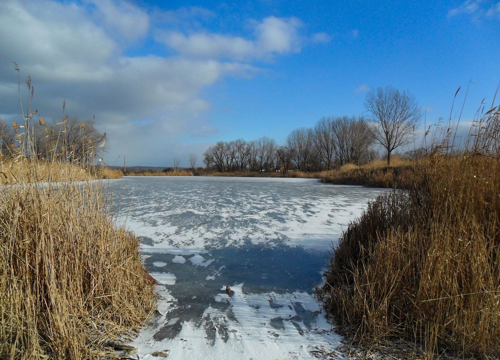 Фотографія Ставок / Виталий Талисман / photographers.ua