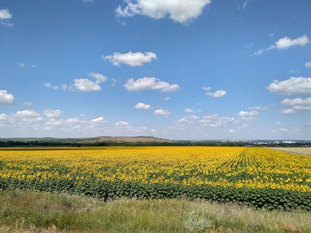 Фотографія Під Слов'янськом / Виталий Талисман / photographers.ua
