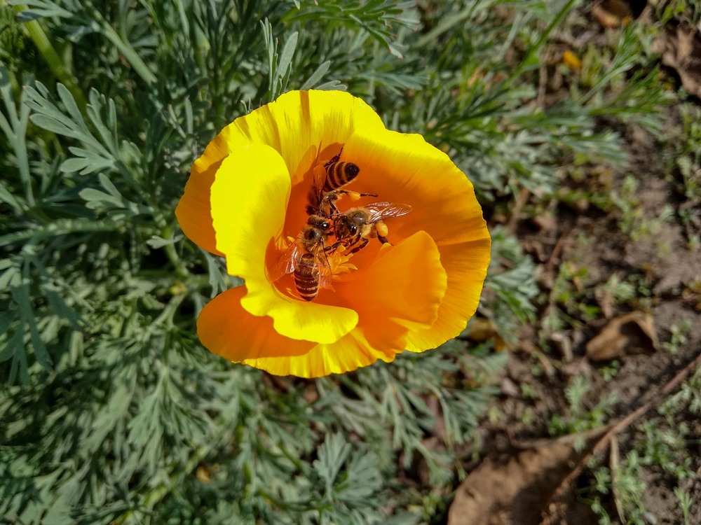 Фотографія Втрьох на одного / Виталий Талисман / photographers.ua