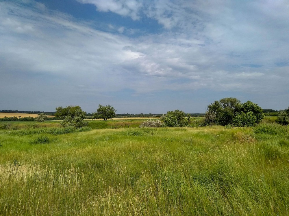 Фотографія Рідний край, я сумую. / Виталий Талисман / photographers.ua