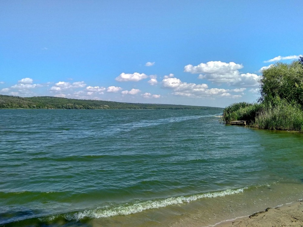 Фотографія Спогади про літо / Виталий Талисман / photographers.ua