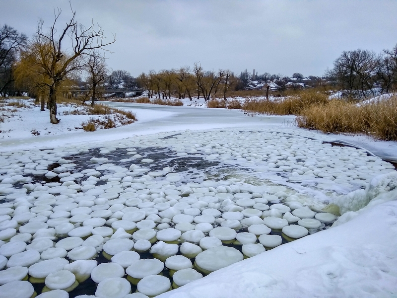 Фотографія Галушки / Виталий Талисман / photographers.ua