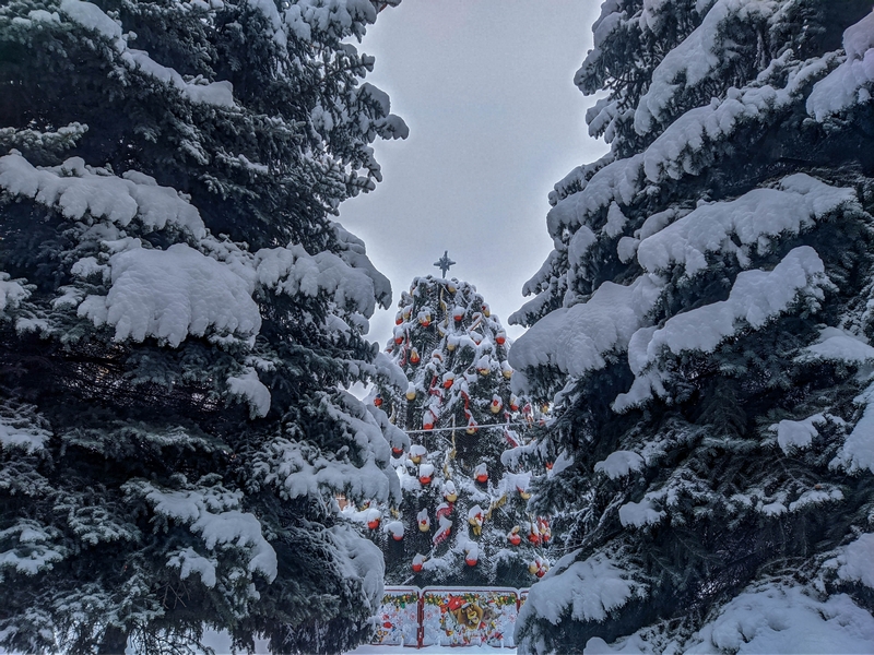 Фотографія Справжній Новий рік / Виталий Талисман / photographers.ua