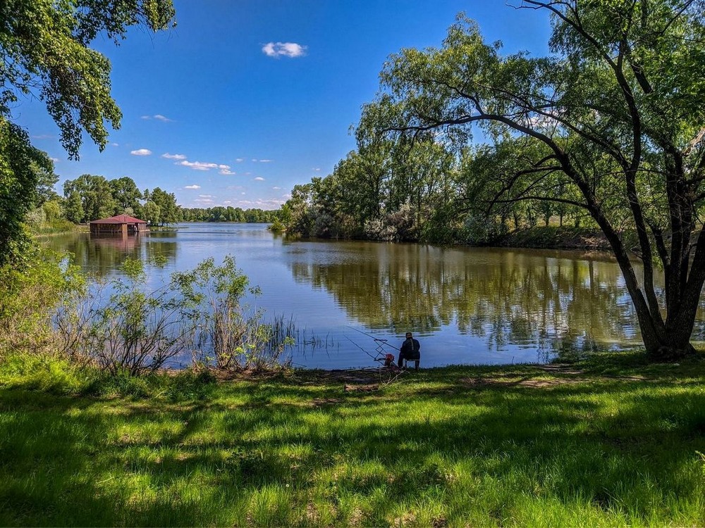 Фотографія Наодинці з думками / Виталий Талисман / photographers.ua