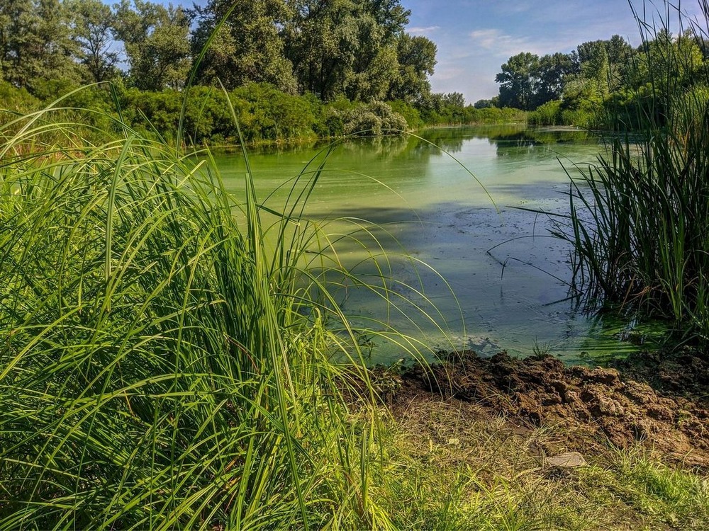 Фотографія В пошуках місця для рибалки / Виталий Талисман / photographers.ua