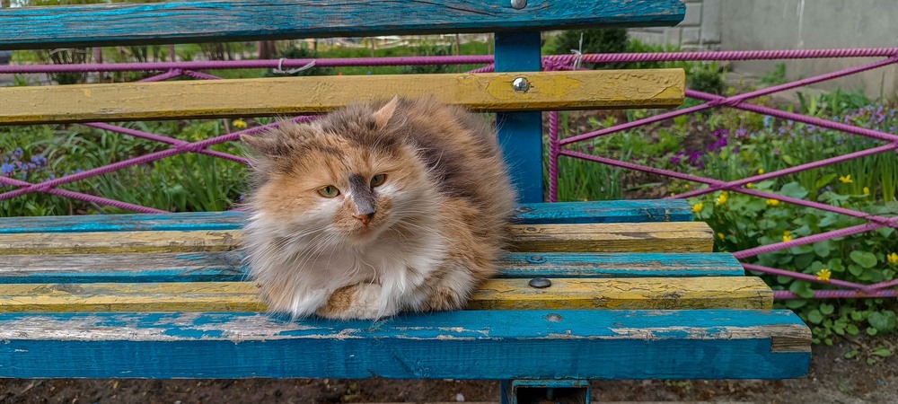 Фотографія Все буде Україна / Виталий Талисман / photographers.ua