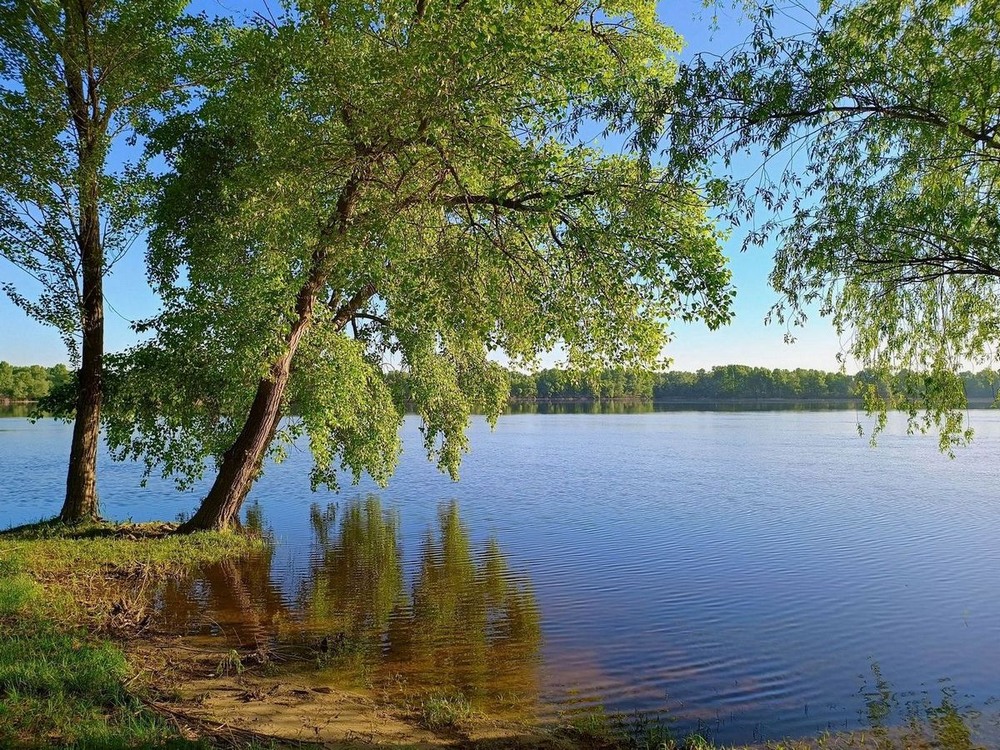 Фотографія Біля Дніпра / Виталий Талисман / photographers.ua