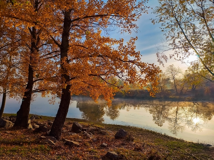 Фотографія Осінній ранок / Виталий Талисман / photographers.ua