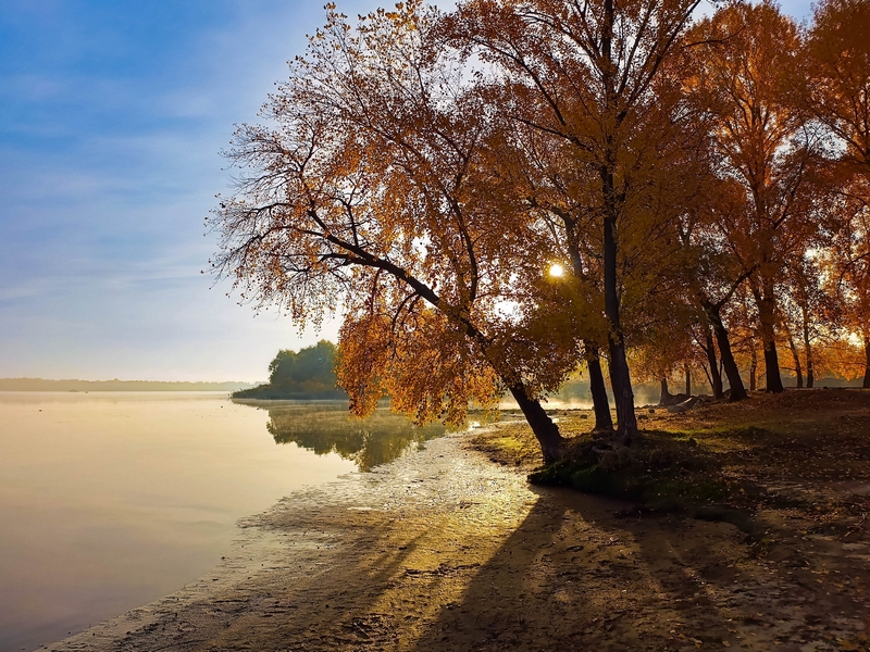 Фотографія Осінній ранок / Виталий Талисман / photographers.ua