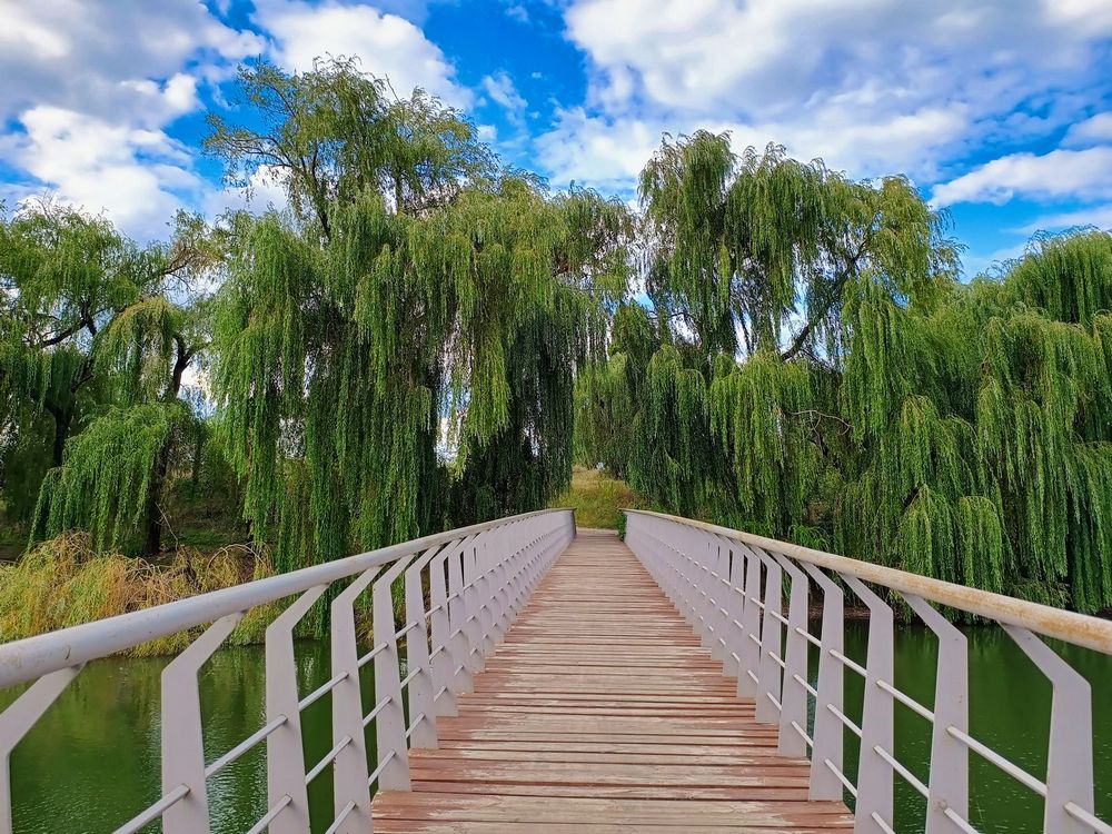 Фотографія Шлях до "Острову кохання", Олександрія / Виталий Талисман / photographers.ua