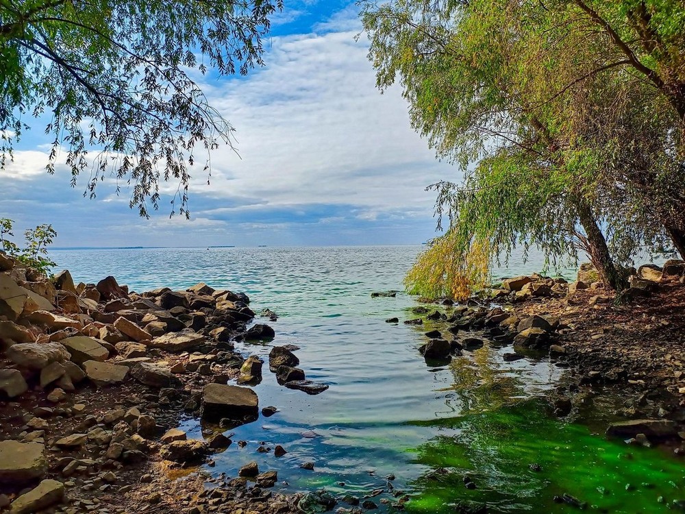 Фотографія На березі Дніпра / Виталий Талисман / photographers.ua