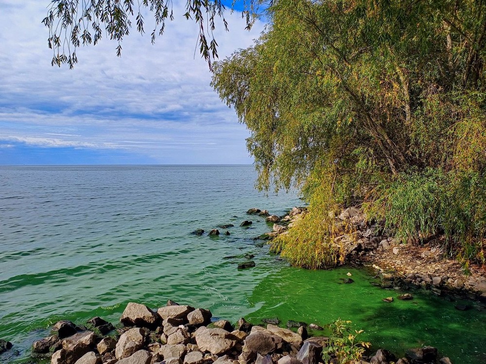 Фотографія Спогади про літо / Виталий Талисман / photographers.ua