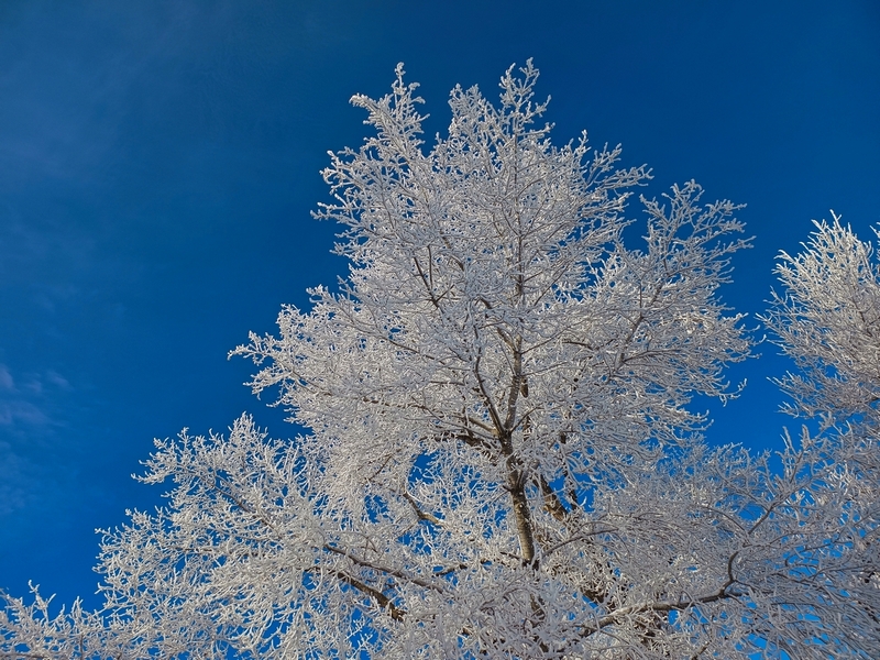 Фотографія Зимова казка / Виталий Талисман / photographers.ua