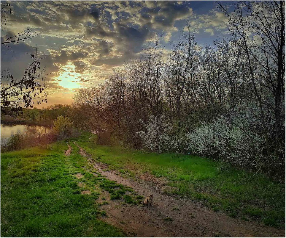 Фотографія Пейзаж / Андрій Кадигроб / photographers.ua