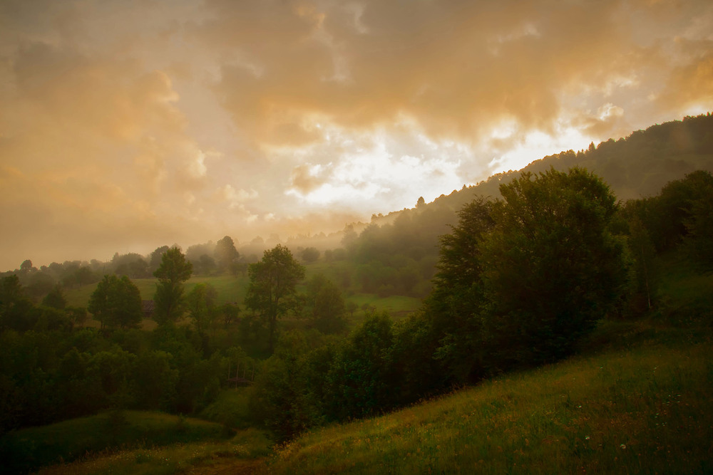 Фотографія Після дощу. / Андрій Кадигроб / photographers.ua