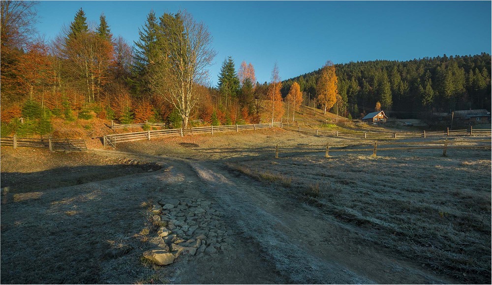 Фотографія На полонині / Андрій Кадигроб / photographers.ua