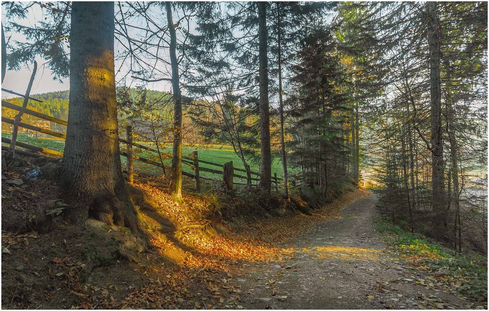 Фотографія Перший промінь / Андрій Кадигроб / photographers.ua