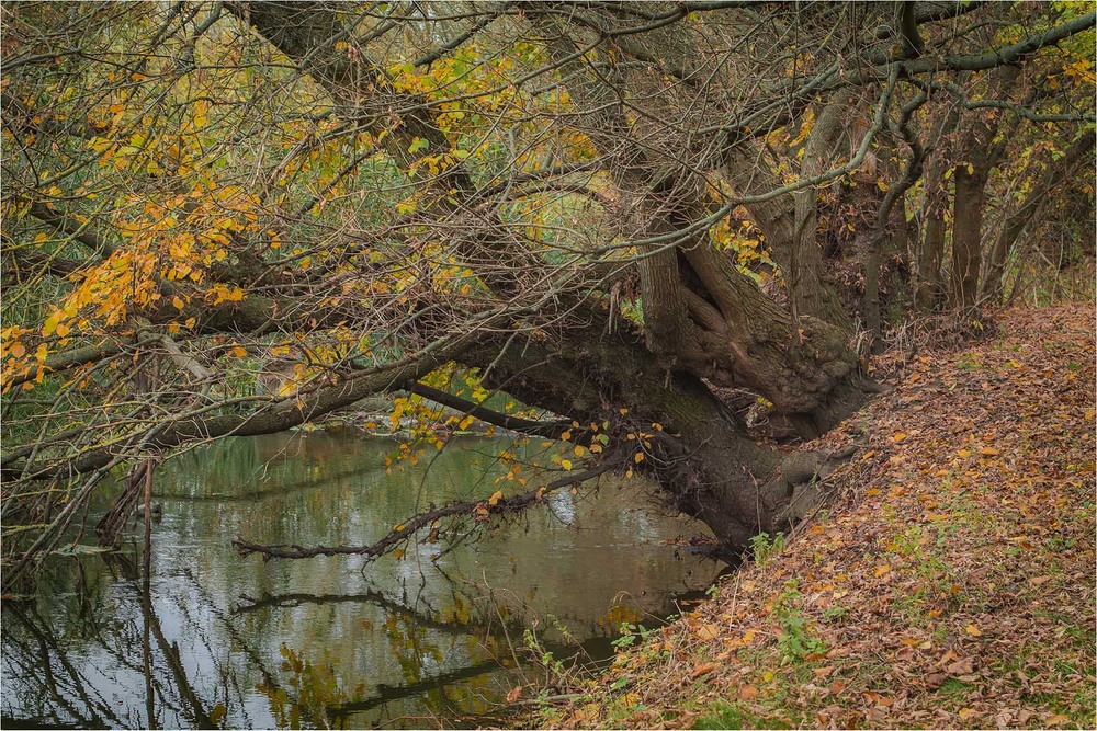 Фотографія Пейзаж / Андрій Кадигроб / photographers.ua